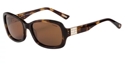 BB Pol Mel Brown Brown Pol 56-18-135 6B