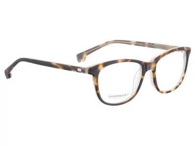 Entourage of 7 - Sophia 0882 (SF)