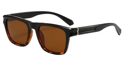 BB Style Mel Black Tort Brown Polarised