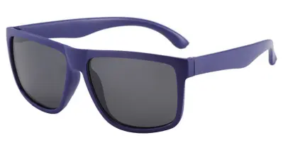 Rocket Goose Purple Grey Polarised