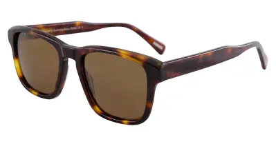 BB Pol Filius Demi Brown Pol 54-20-145  A