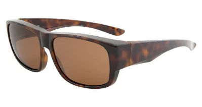 Cover Glasses Boder Xtal Tort Brown Polarised 