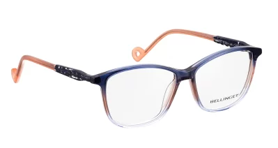 Bellinger House - Just-437 469