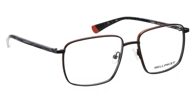 Bellinger - Outline 4 9050 (SF)