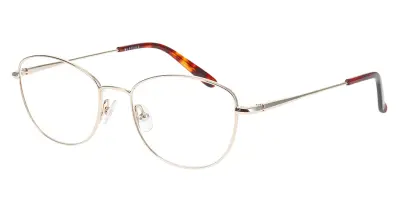 Nifties 8562 2012 48-16