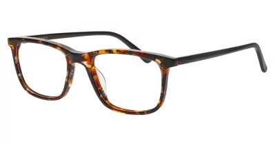 Nifties 9525 5424 50-17 tortoise medium demi