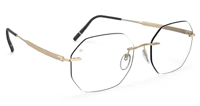 5603|KZ 7530 53-19 150 The Timless Visionary